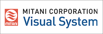 Visual System