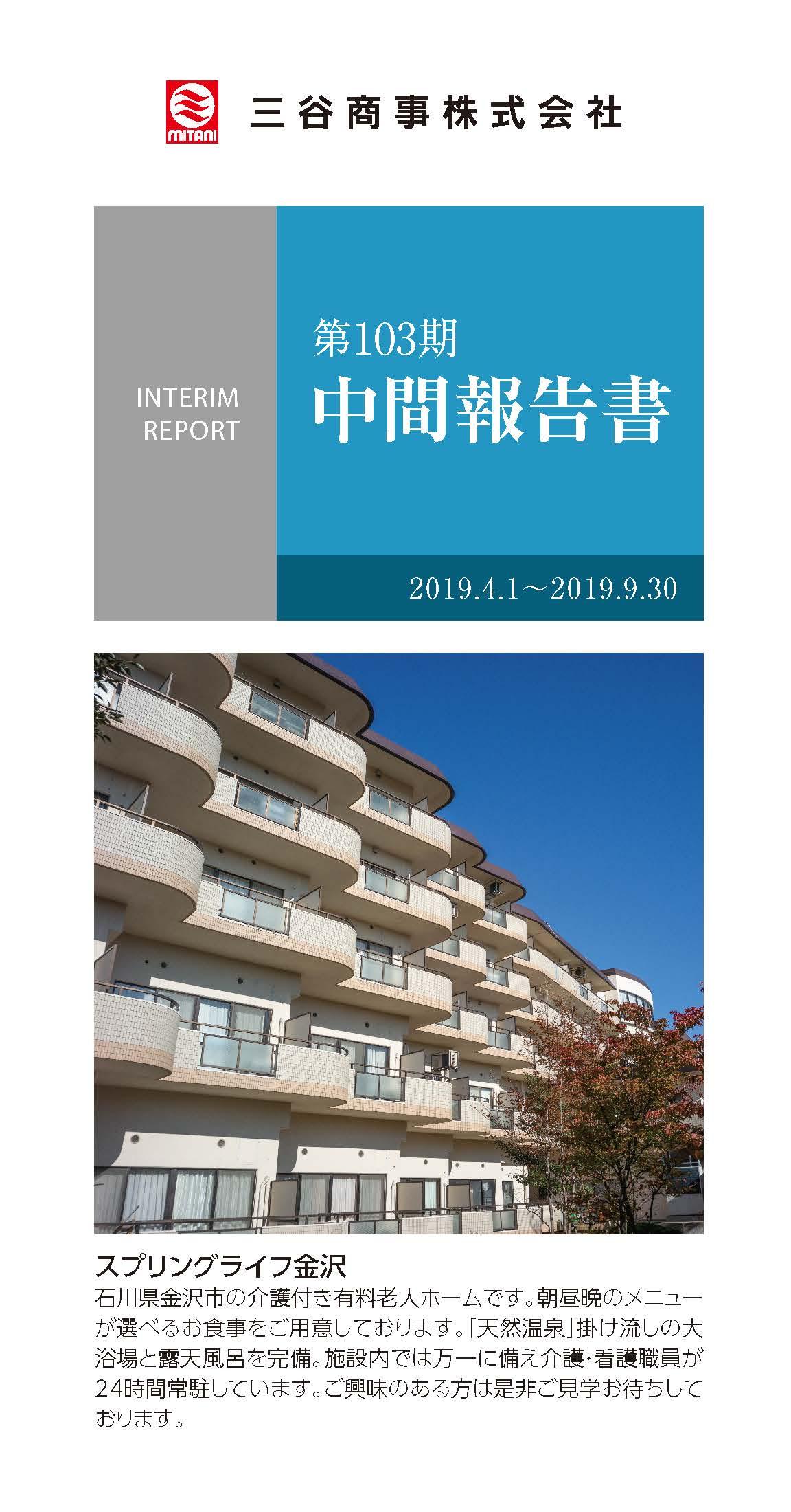 2019年発行　Interim Report