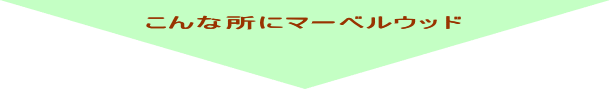 こんなところにマーベルウッド